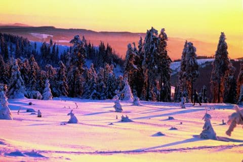 Einmaliges Naturschauspiel: Bei gutem Wetter färbt die untergehende Sonne den Oberharz in eine farbenfrohe Winterlandschaft.