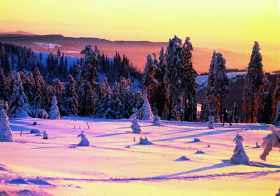 Einmaliges Naturschauspiel: Bei gutem Wetter färbt die untergehende Sonne den Oberharz in eine farbenfrohe Winterlandschaft.