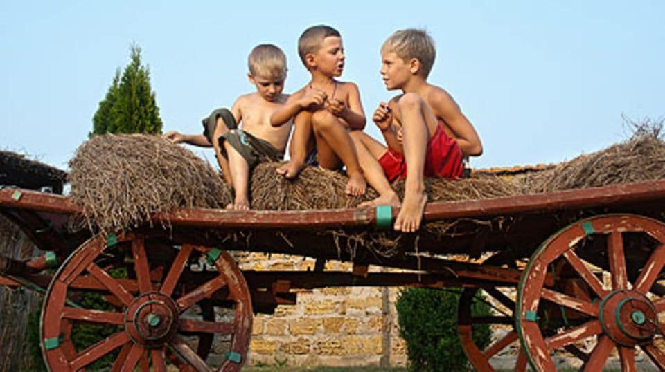 Unter sich sein: Auch das genießen Kinder an einem Urlaub auf dem Bauernhof.