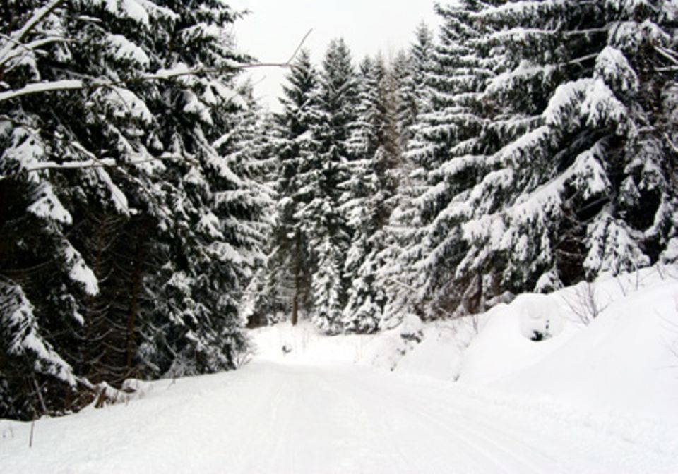 Winterabenteuer im Thüringer Wald