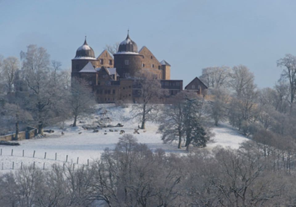 Auf einer Anhöhe liegt die Sababurg, die auch gern Dornröschenschloss genannt wird.