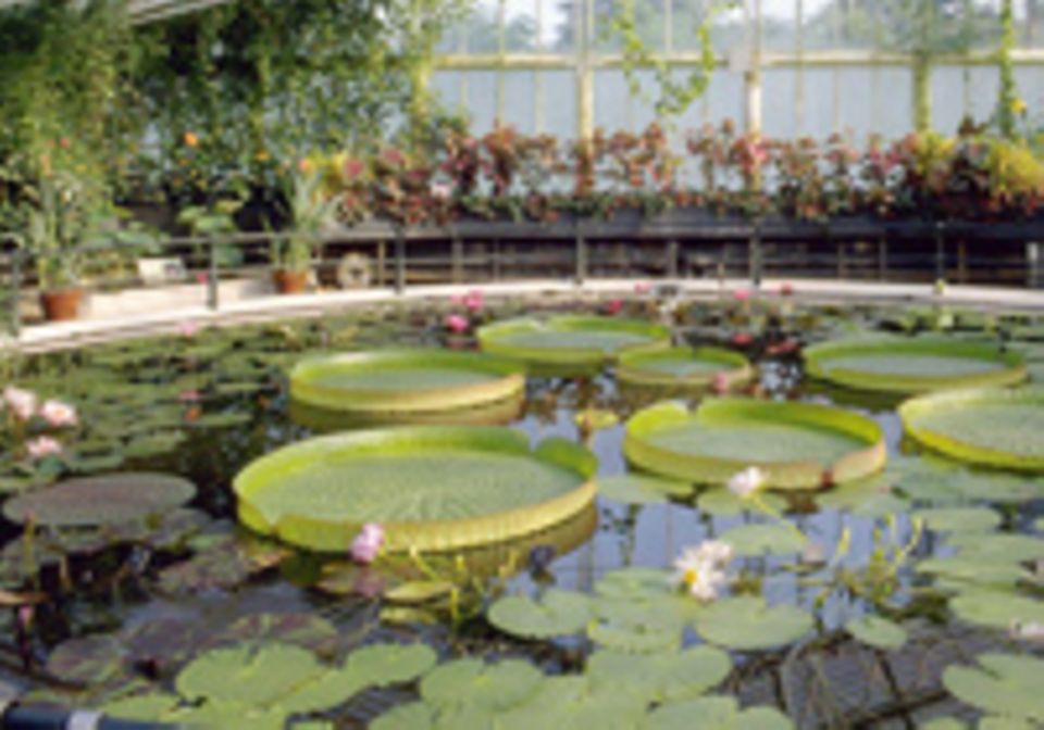 Botanische Gärten mit Tropenhäusern