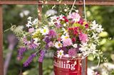 Blumen am Zaun] <strong>Zaungäste</strong> Eine knallrote Kaffeedose erlebt ihr Revival als Vase und hütet den frisch gepflüc…