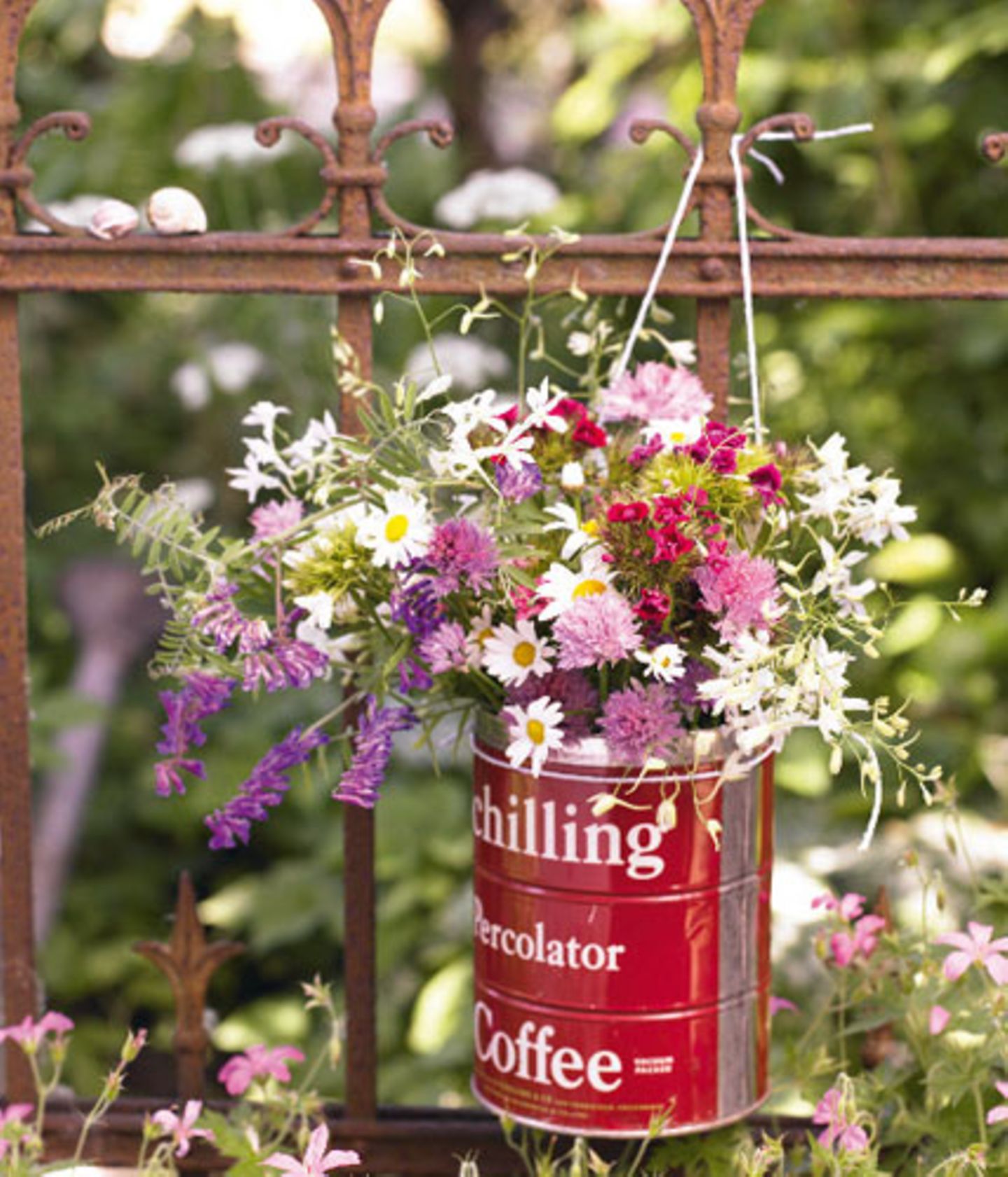 Blumen am Zaun] <strong>Zaungäste</strong> Eine knallrote Kaffeedose erlebt ihr Revival als Vase und hütet den frisch gepflüc…