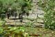 Naturteich, formaler Teich, Schwimmteich unsere Tipps [LIVING AT HOME]