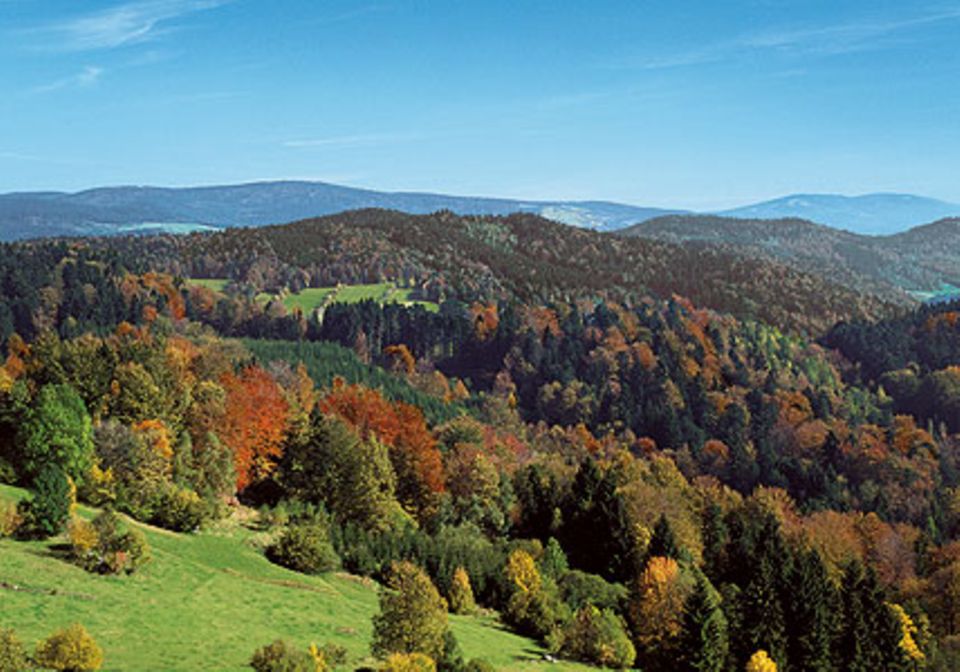 Der Bayerische Wald in Bildern - [LIVING AT HOME]