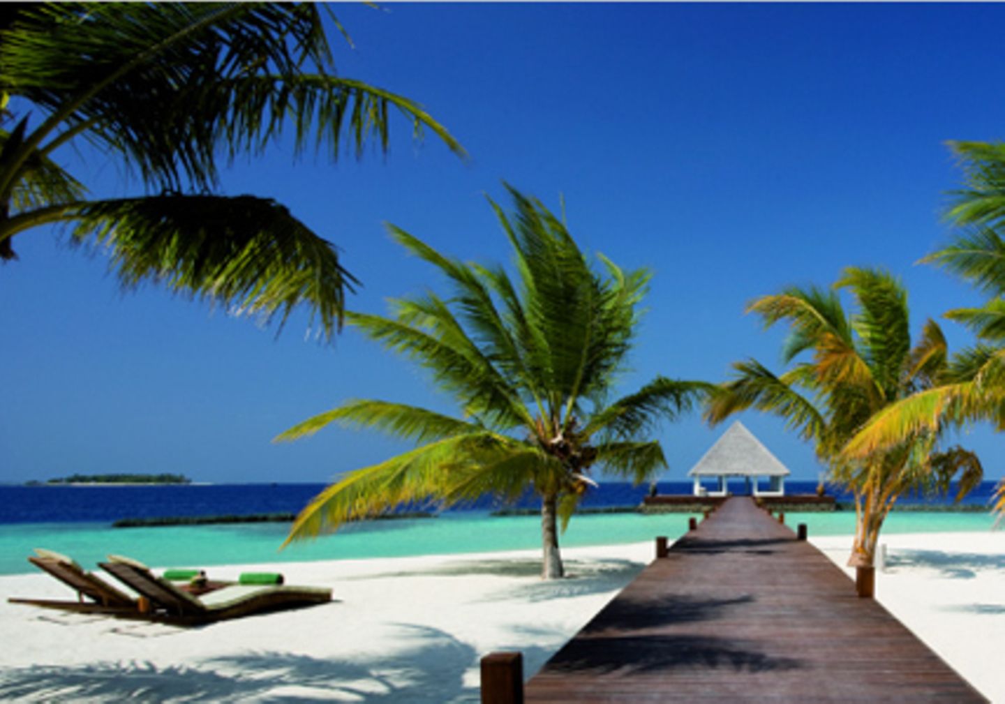 Coco Palm Malediven