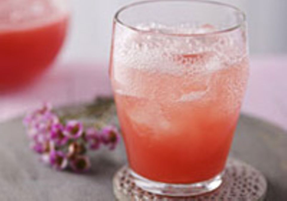 Rezepte für Genießer: Shakes & Cocktails
