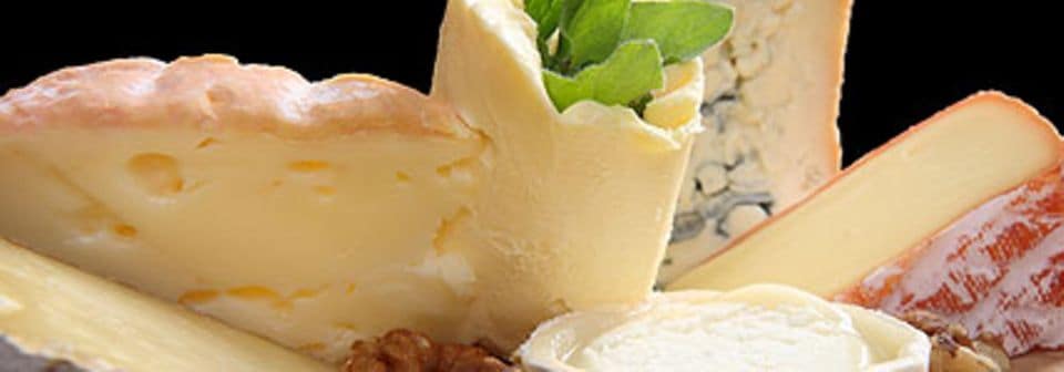 Interview: "Guter Käse braucht keine Butter"