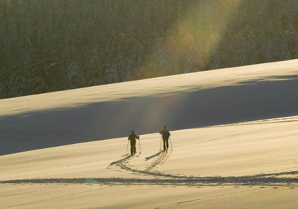 Naturpark Zittauer Gebirge in Sachsen: Perfekt für Familientage im Schnee