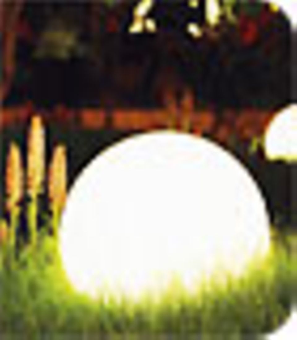 Magazin: Lichtspiele im Garten