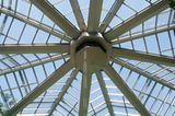 Die riesigen Glasdächer über den Pflanzen werden von Stahlkonstruktionen getragen