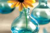 Sieht fast aus wie Wasser pur: die türkis-transparente Vase bietet Platz für ein paar kleinere Blüten. Damit es dann so richtig nach Frühling aussehen kann, gibt es die Vasen gleich im Dreierpack. Detailinformation und Bestellmöglichkeit