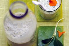 Rezept: Buttermilch-Erfrischungsdrink mit Frankfurter Kräutern und Tabasco