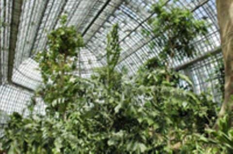 Botanische Gärten mit Tropenhäusern