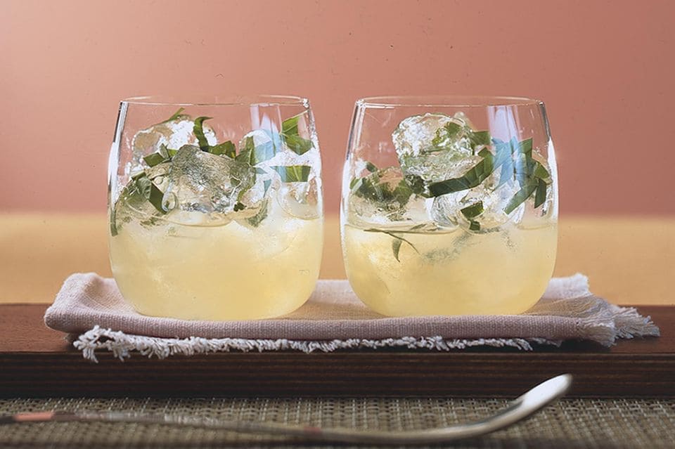 Cocktail Jalisco-Gimlet