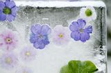 Eisbild mit Blumen
