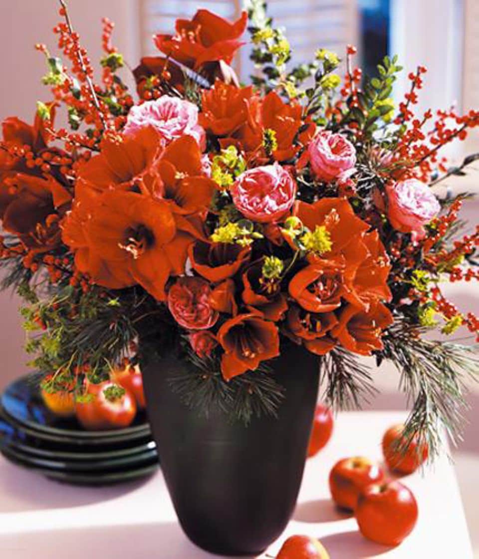 Winterstrauß mit Moosröschen, Amaryllis und Viburnum [LIVING AT HOME]