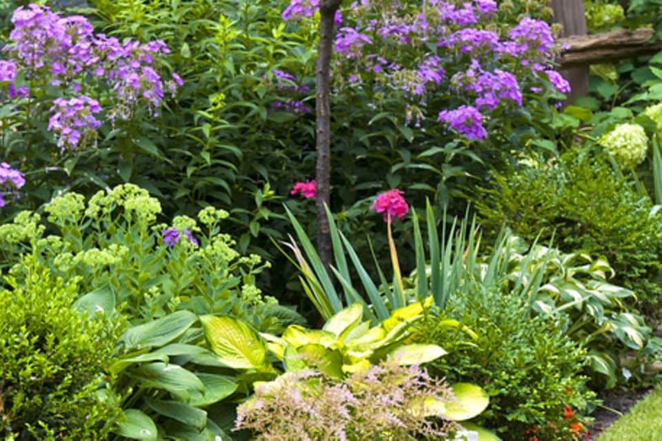 Gartenideen - Pflanzplan für Blumenbeete