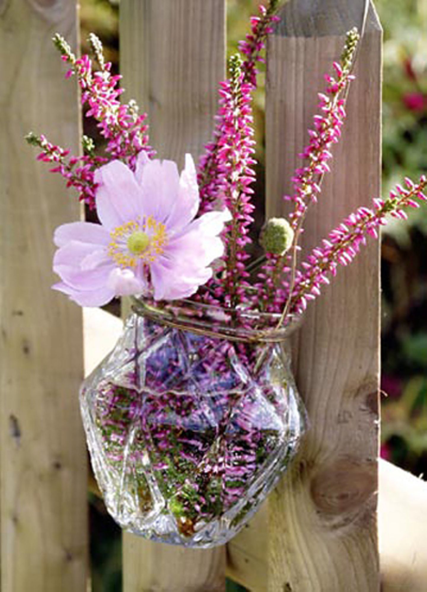 Heidekraut mit Anemonenblüte in einer Vase.