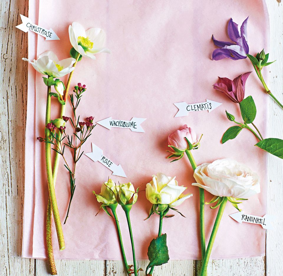 Blumenstrauß-Zutaten Christrosen, Klematis, Rosen, Wachsblumen