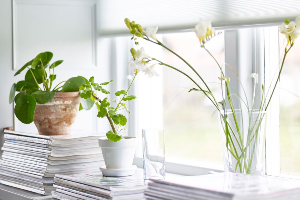Wabenjalousie, Blumen und Zeitschriften als Fensterdeko, Ikea