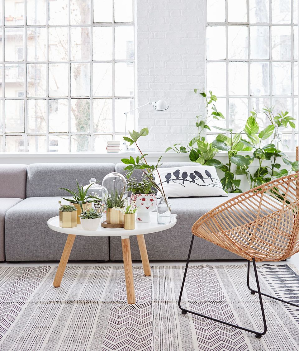 Dekoidee: Zimmerpflanzen, Sofa in Grau, Rattansessel und Beistelltisch