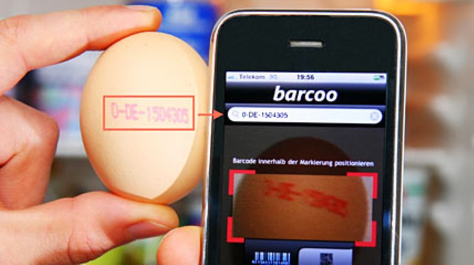 App erkennt Dioxin-Eier