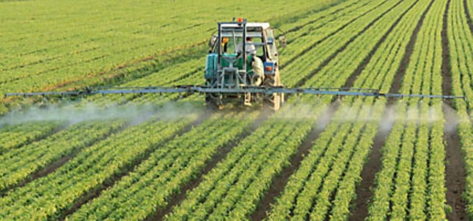 Die EU regelt den Einsatz von Pestiziden in Europa