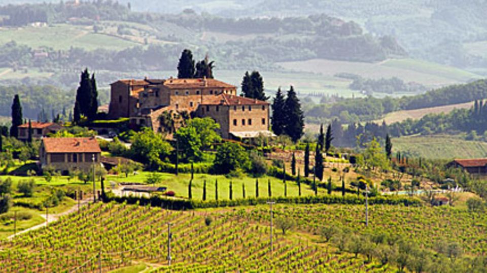 Weinbaugebiet in der Toskana