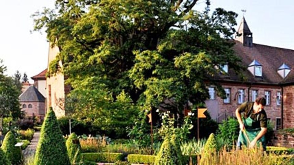 Der Kräutergarten wird gehegt und gepflegt. Foto: Hotel Kloster Hornbach