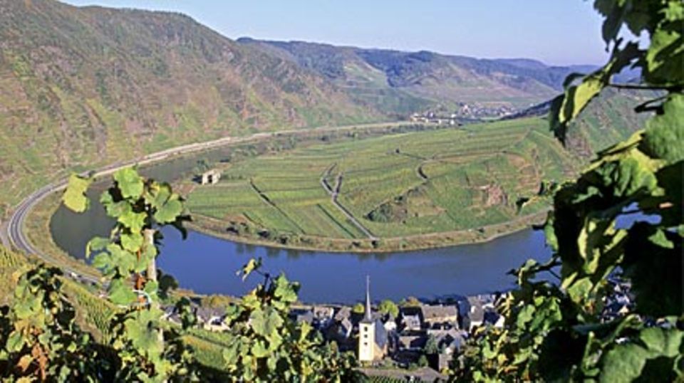 Das Moselgebiet gehört zu den bekanntesten Weinbaugebieten Deutschlands. Foto: DWI