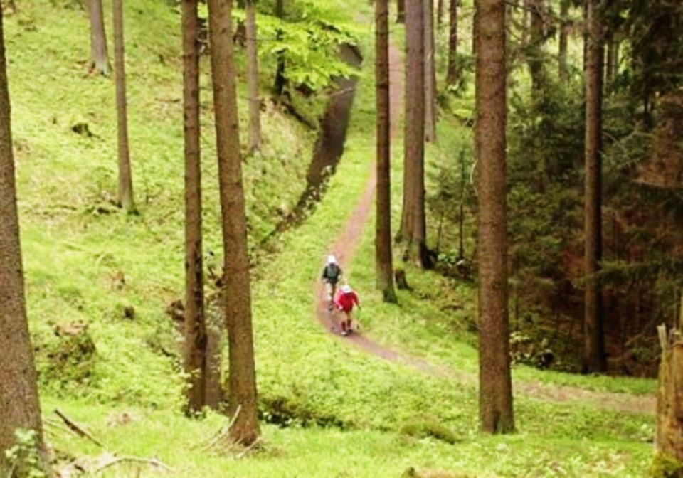 Wanderwege im Harz führen durch das Gebirge, oft sogar entlang der zahlreichen Wasserwege