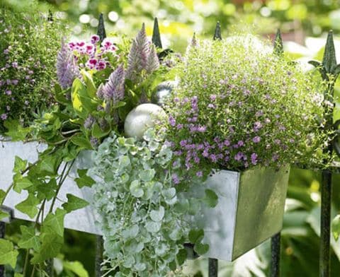 Blumenkästen auswählen und richtig bepflanzen [LIVING AT HOME]