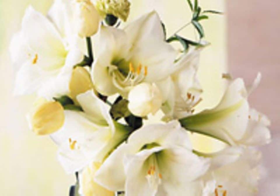 Blumensträuße mit Amaryllis