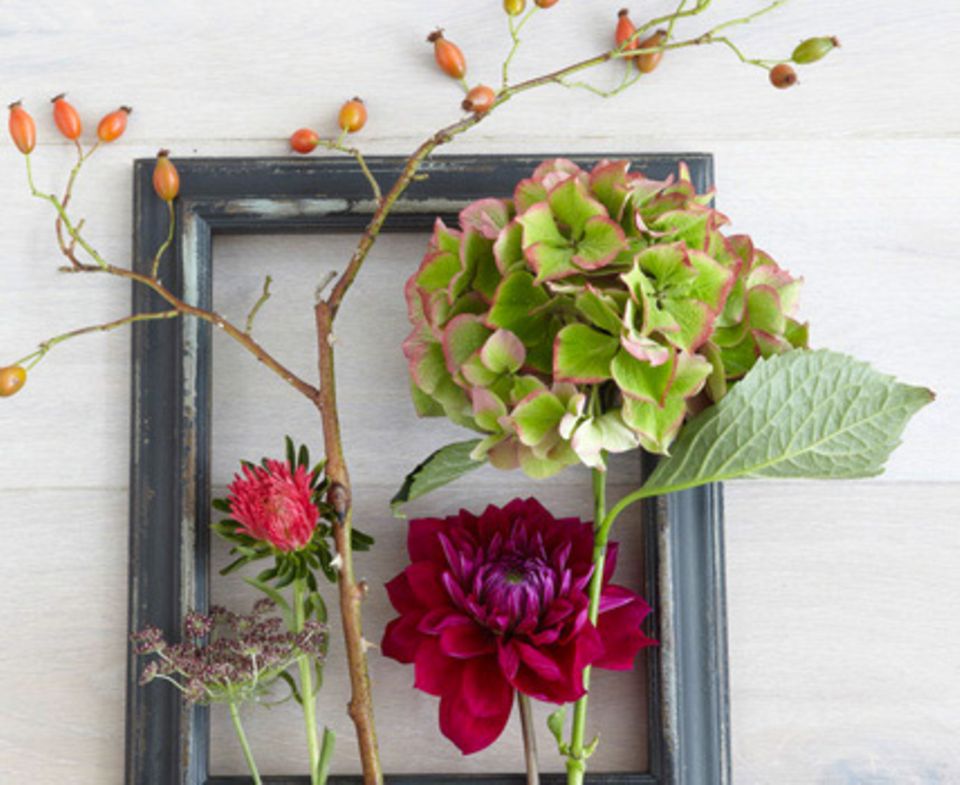 In diesem Blumenstrauß haben wir folgende Pflanzen verwendet (von links nach rechts): Dekorativer Dill, Aster, Hagebutte, Dahlie und Hortensie