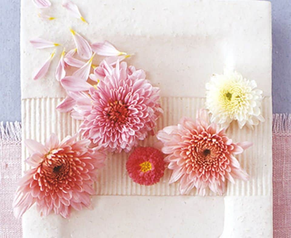 Chrysanthemen: Sternförmig, gefüllt oder kugelig: Der Blütenköpfe der Chrysanthemen setzen sich aus vielen kleinen Einzelblüten zusammen.