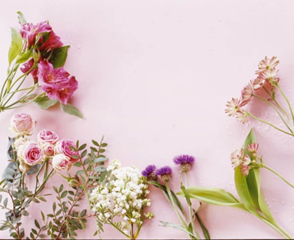 Zu unserem Strauß gehören: Inkalilien, Rosen, Pistazie, Flieder, Kornblume, Maiglöckchenblatt und Sterndolde (von links nach rechts).