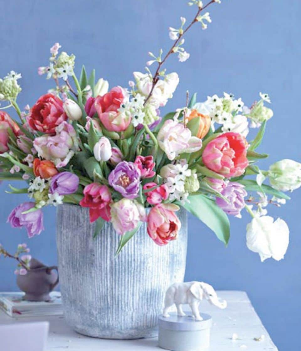 Tulpen, Kirschen und Milchstern: Kontrastprogramm in der Vase.