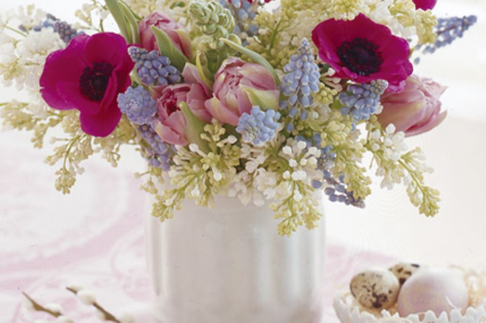 Pures Glück in der Vase: Tulpen, Traubenhyazinthen und Anemonen.