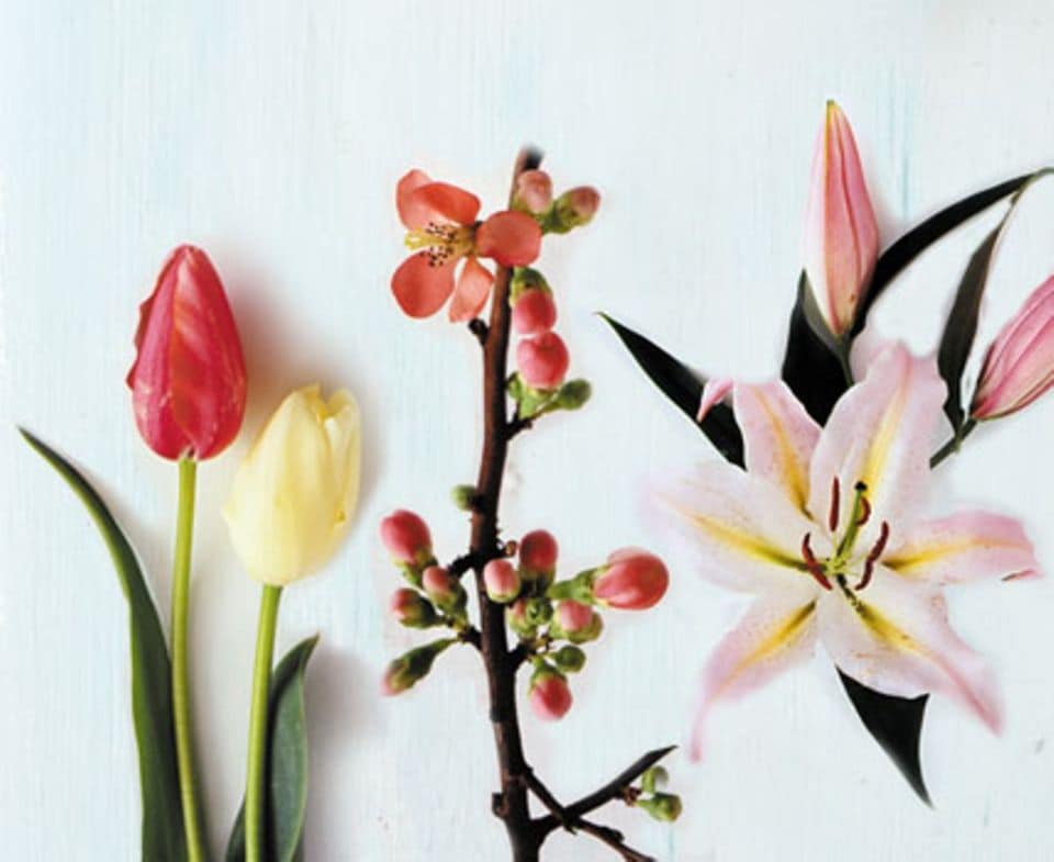 Frühlingsstrauß aus Lilien, Tulpen und Zierquitte