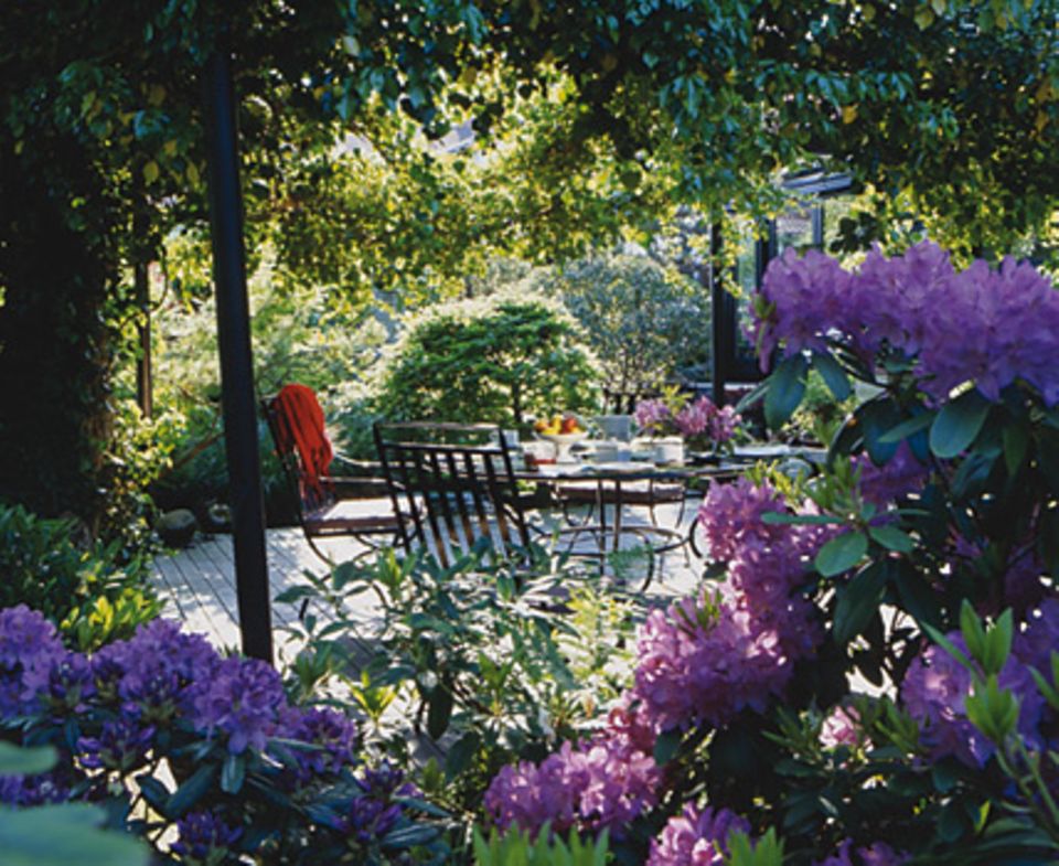 Gartengestaltung: schlechter Boden oder zu viel Schatten? Ideal für einen gemütlichen Sitzplatz! Foto: Graf Luckner Gartengestaltung: schlechter Boden oder zu viel Schatten? Ideal für einen gemütlichen Sitzplatz! Foto: Graf Luckner
