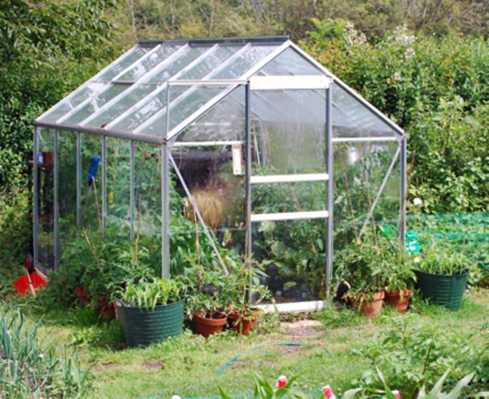 Ob zur Jungpflanzenanzucht oder Kübelpflanzenüberwinterung: ein Gewächshaus ist der Traum jedes Gärtners.