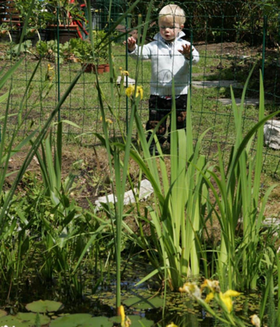 Sicherer Gartenteich: haben Kinder zum Teich Zutritt, ist ein stabiler Zaun wichtig.