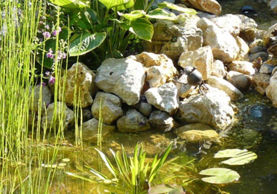 Gartenteich mit naturnah gestaltetem Ufer