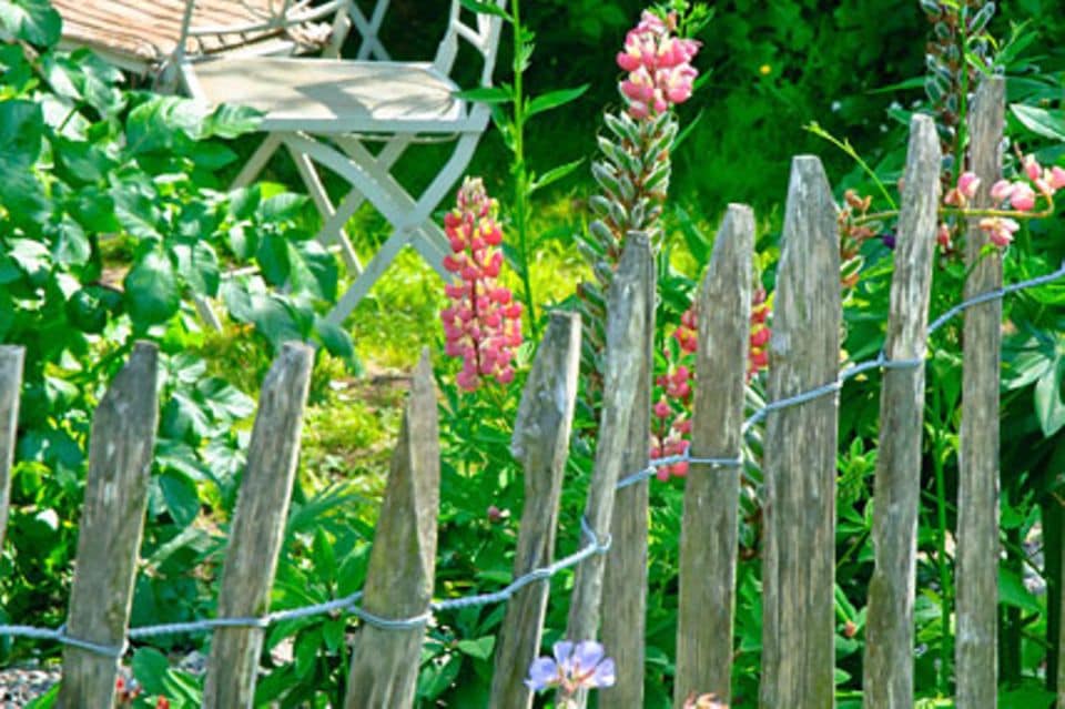 Ein Gartenzaun aus gespaltenem Kastanienholz ist schnell aufgebaut und eignet sich besonders gut für ländliche Gärten.