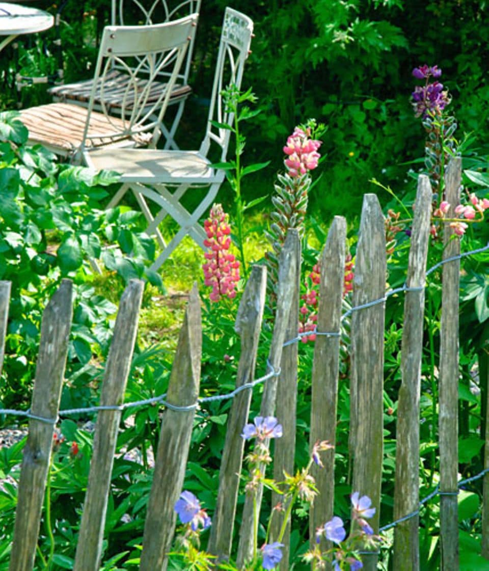 Ein Gartenzaun aus gespaltenem Kastanienholz ist schnell aufgebaut und eignet sich besonders gut für ländliche Gärten.