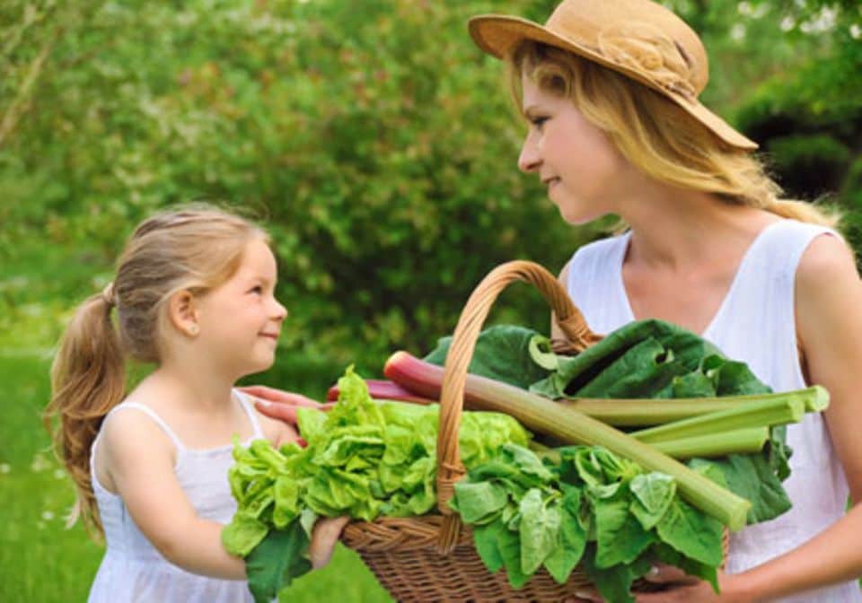 Gemüseplaner: Kindern macht die Gemüseernte ganz besonders viel Spaß.