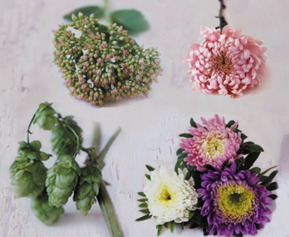 Zu unserem Strauß gehören: Fetthenne, Chrysanthemen, Hopfen und Astern (von links nach rechts).