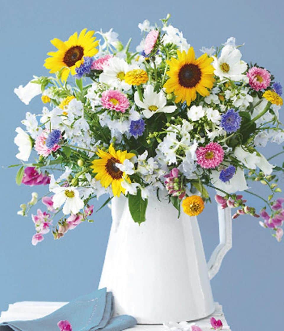 So viel üppiger Blütenpracht genügt eine einfarbige, schlichte und eher schlanke Vase.